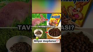 NESQUIK YEMEDEN ÖNCE BİR KEZ DAHA DÜŞÜNÜN!