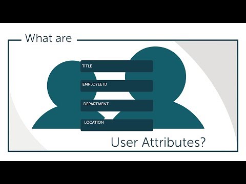 What are User