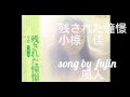 残された憧憬 小椋佳 Song  by  fujin風人