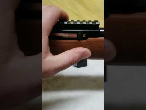 Ruger 10/22 free mods and under 30 bucks