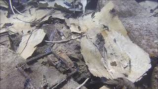 Download Lagu Egypte Marsa Alam Shaab Marsa Alam Wreck Legend 17 april 2024 MP3