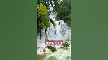 আলোর দিশারী | সূরা আন নূর | Surah An-Noor | سورة النور | কোরআন তেলাওয়াত