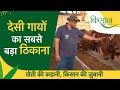 देसी गायों का सबसे बड़ा ठिकाना I Hetha Dairy Farm I Cow Dairy Farm I Aseem Rawat Success Story