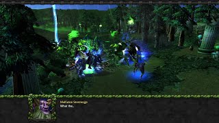 Medivh saves Malfurion from being overrun by the corrupted beasts