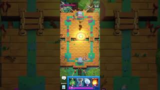 Koç Başı Vs Domuz Bi̇ni̇ci̇