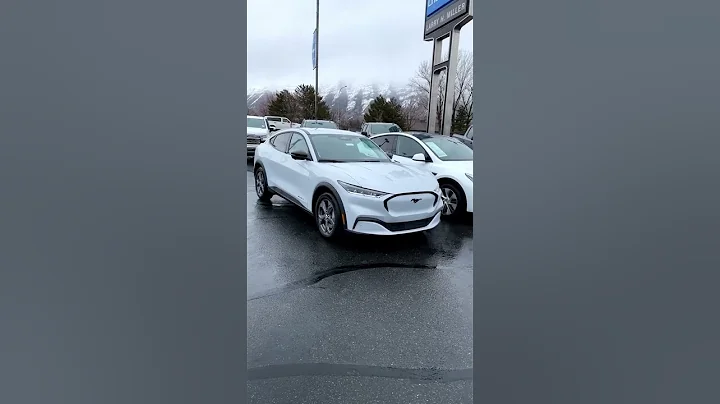 2023 Ford Mach-E VS 2023 Tesla Model Y - 天天要闻