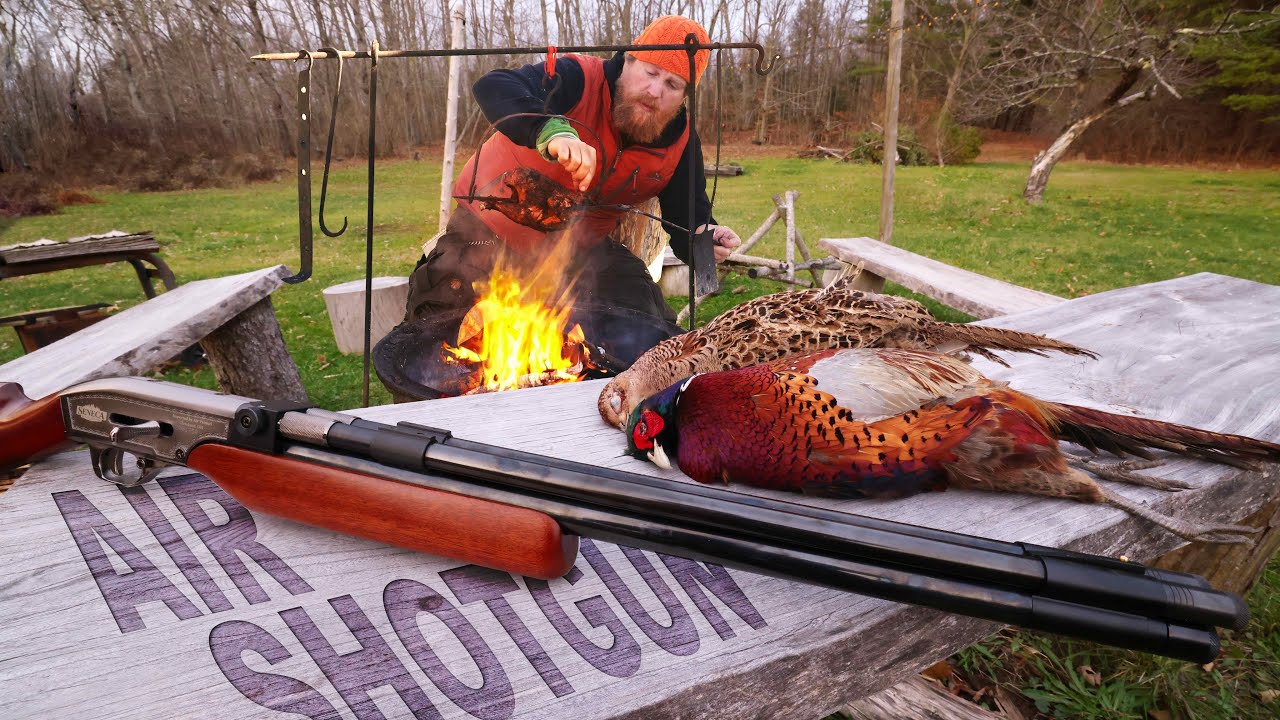 Catch & Cook Pheasant with the Double Barrel Air Shotgun (Seneca Double