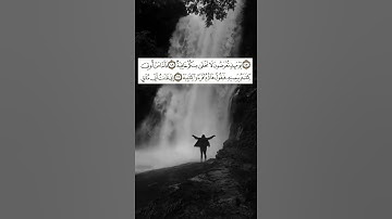 يومئذ تعرضون لا تخفى منكم خافية القارئ الشيخ الافي العوني