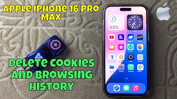 How To Delete iPhone 16 Pro Max Cookies and Browsing History {Quick & Easy}