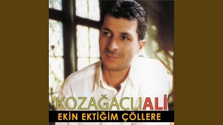 Yumurtanın Sarısı
