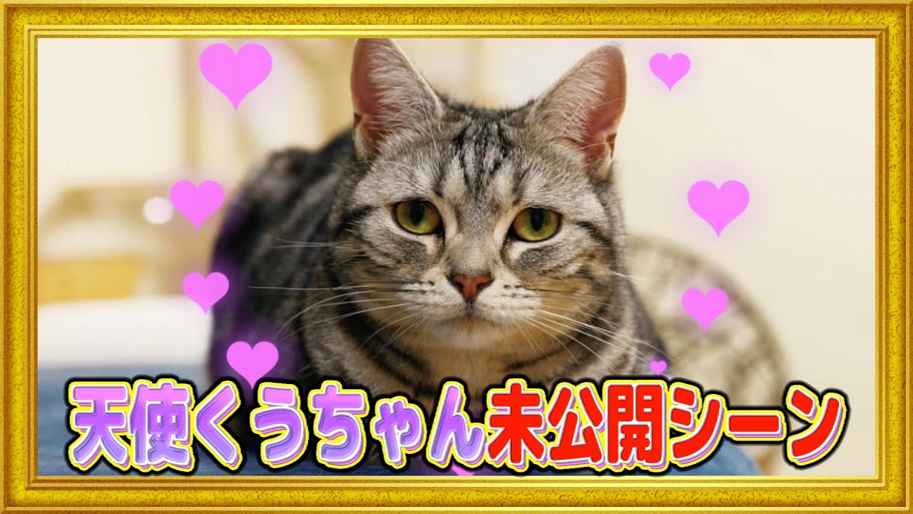 我輩は猫ページ 我輩は猫魔導師である ～キジトラ・ルークの快適チート猫生活