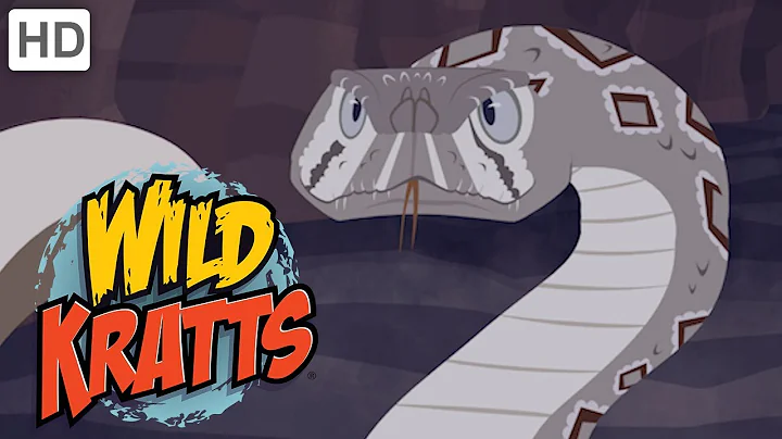 Wild Kratts  Out for the Hunt! | Kids Videos