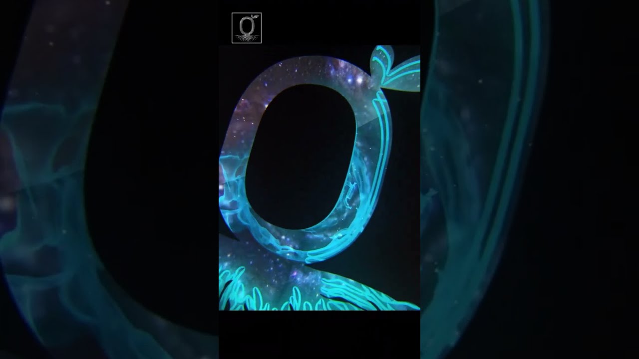 Farm Cooperative Review 