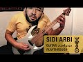 Znous Sidi Arbi سيدي العربي Guitar Playthrough 