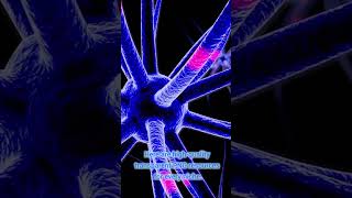 Best FREE PNG Website 2026 | Download High-Quality Transparent PNGs for YouTube Thumbnails Best FREE PNG Website 2026 | Download High-Quality Transparent PNGs for YouTube Thumbnails