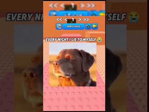 Every Night I Lie To Myself