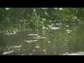 For Anyone Overwhelmed Today| 20 Seconds of Peace