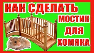 КАК СДЕЛАТЬ МОСТИК ДЛЯ ХОМЯКА / ИГРУШКИ ДЛЯ ХОМЯЧКА / ПОГРЫЗУШКА / #ХОМЯК / #ИГРУШКА ДЛЯ ХОМЯКА