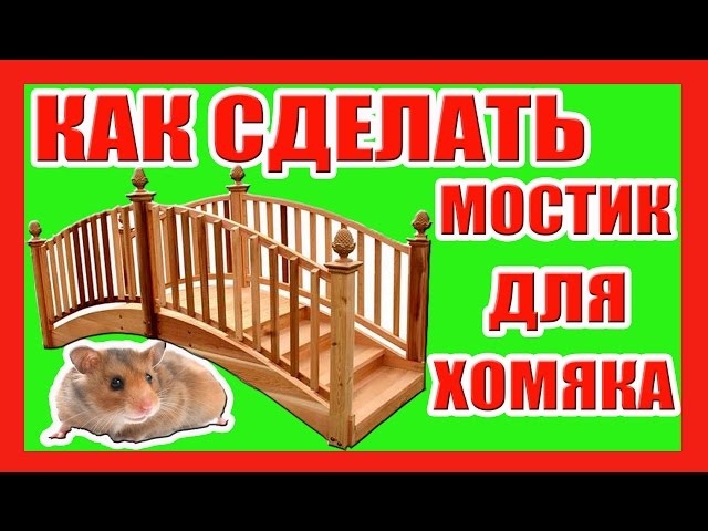Какие выбрать игрушки для хомяков? | Друг Барсук | Дзен Как сделать игрушку для хомяка из картонных трубок своими руками