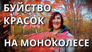 БУЙСТВО ОСЕНИ НА МОНОКОЛЕСЕ