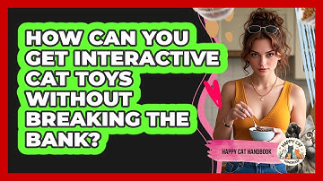 How Can You Get Interactive Cat Toys Without Breaking The Bank? - Happy Cat Handbook