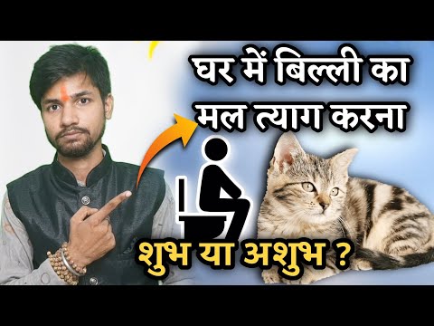 वीडियो: कुत्ते कैसे पिल्लों को जन्म देते हैं?