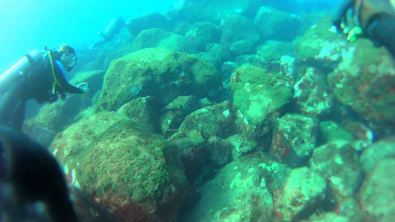 Fernando de Noronha: Laje 2 Irmãos e Caverna da Sapata - YouTube