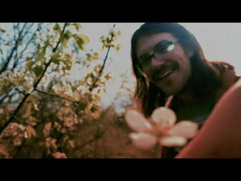 Lime Forest - Space Holiday [Official Music Video]