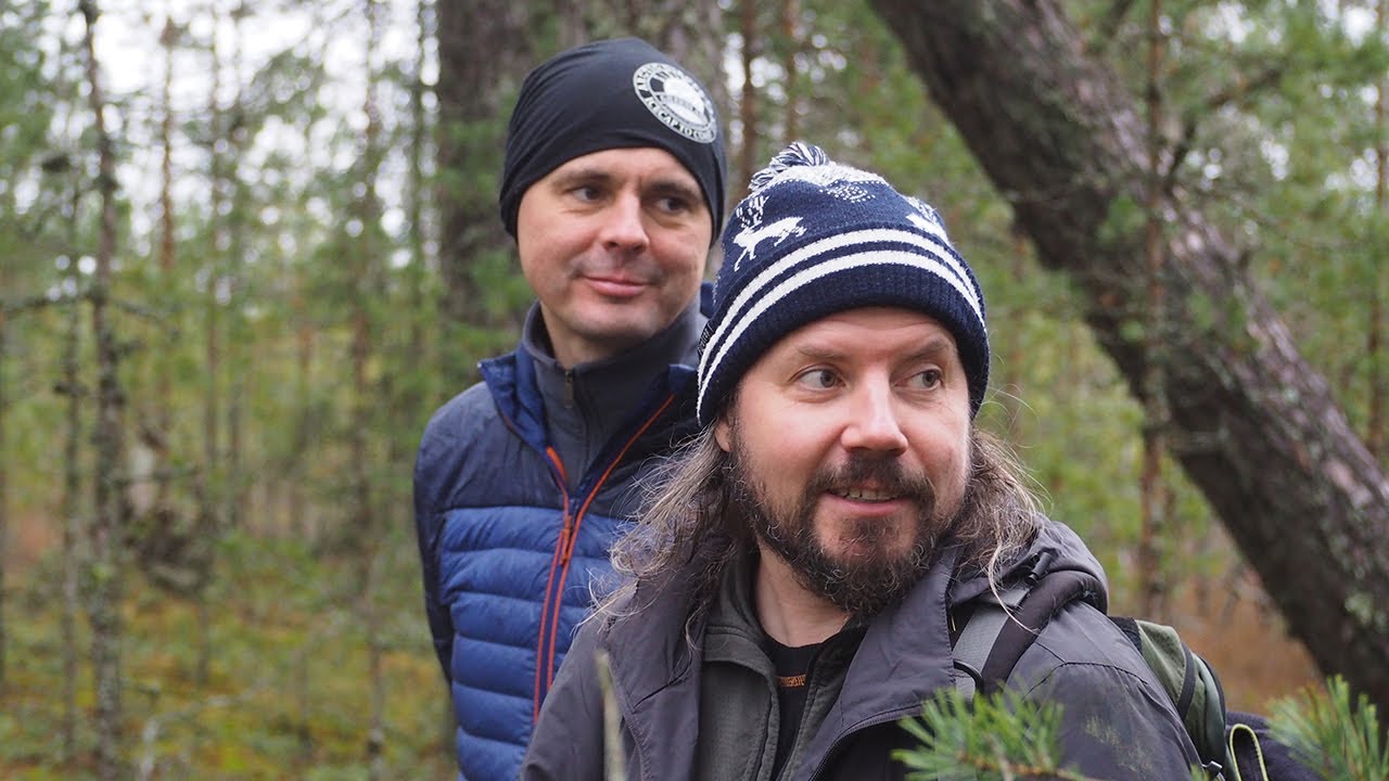 Небольшой поход в районах Aidu и Kunda, Tudasoo в лесах Эстонии 08.11.2025