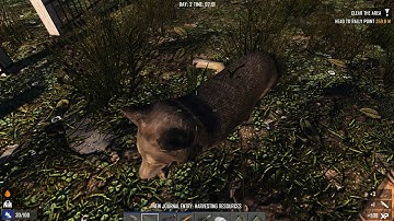 Gnamod - Testplay 2 - Day 2