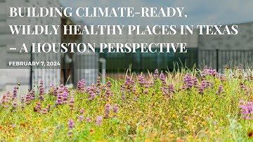 Building Climate Ready, Wildly Healthy Places in Texas – A Houston Perspective