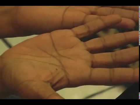 Dr. Sarah Larsen - Palm Reading #1