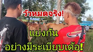 The cows are all gone, the price has really gone up, the fat cows are going to Vietnam, the Thais...