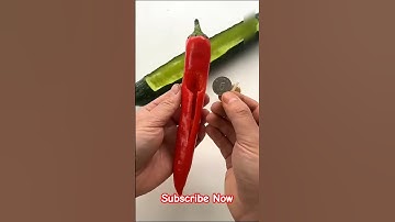 मत छुपाओ पापा सिक्का  😱||#shorts #funny #amazinggedgets #funny #amazimgfacts #shortfeed ||😱