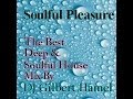 Dj gilbert hamel   soulful pleasure 3