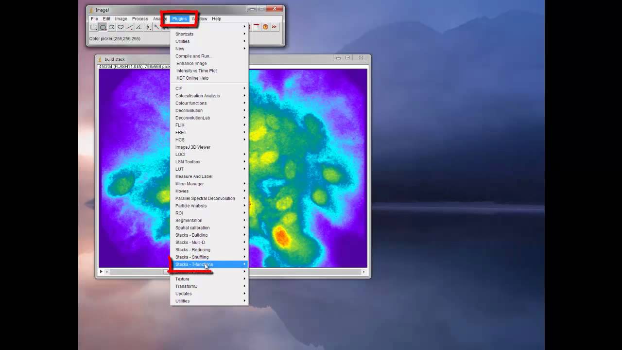 Mbf Image J Intensity Vs Time