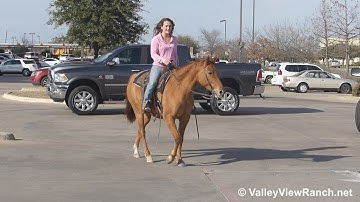 Miss Pep A Lena - riding through town! - ValleyViewRanch.net