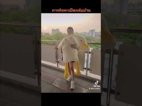 เกษรแฟร์