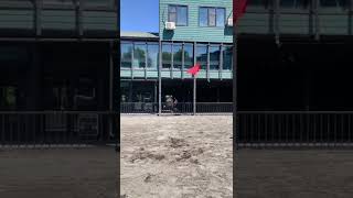 Best Wild Horses Mare Compilation Of Some Wild Horse Fights Video 69