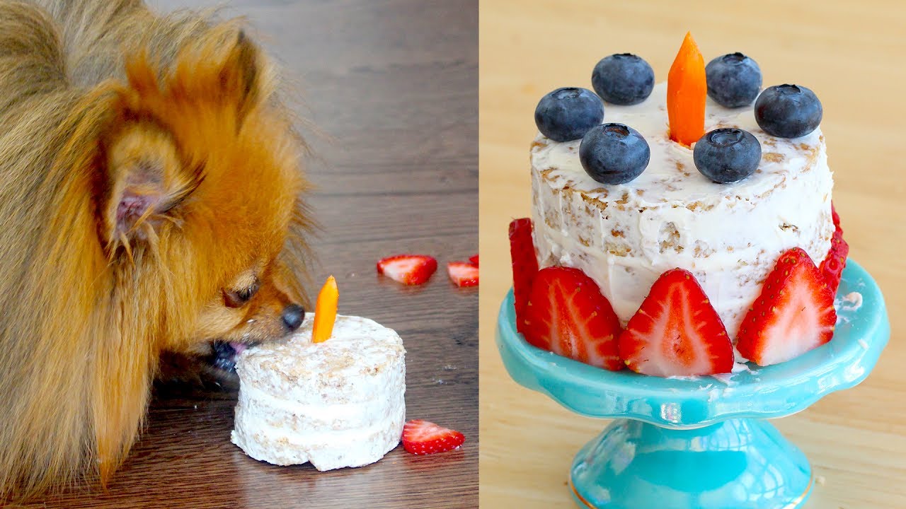 birthday cake for dogs near me