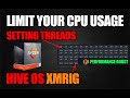 How To Limit CPU Usage And Threads | HiveOS+ Performance BOOST