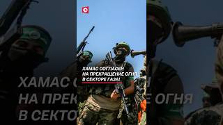 Войне конец? ХАМАС согласен на прекращение огня в секторе Газа! #газа #война #израиль #хамас