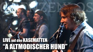 Video thumbnail of "GRENZENLOS & Band LIVE: "A Altmodischer Hund" (S.T.S. Cover)"