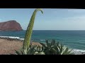 La Tejita beach and Red Mountain in Tenerife, Canary Islands, Spain