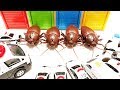Learn colors with Various Patrol cars さまざまなサイズのパトカーたちが突入してゴキブリを回収します cockroaches,Pj Masks,Tayo Bus