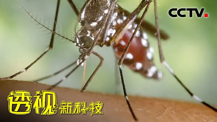 咬人吸血還傳播瘧疾 阻擊瘧蚊我們是認真的！20210903 |《透視新科技》CCTV科教 - 天天要聞