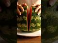 WATERMELON 🍉 🔪 Cutting Style Skills #shorts #watermelon #fruitcutting #carving #cuttingskills