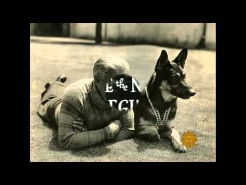 Video: Zapomeňte na Uggie, Rin Tin Tin byl originální film (a TV a rádio) Star Dog