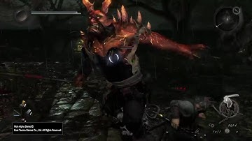 Nioh Alpha Demo Nue Boss Fight Gameplay PS4