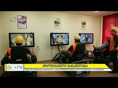 პროფესიული სასწავლებლების კურსდამთავრებულთა სტატისტიკა